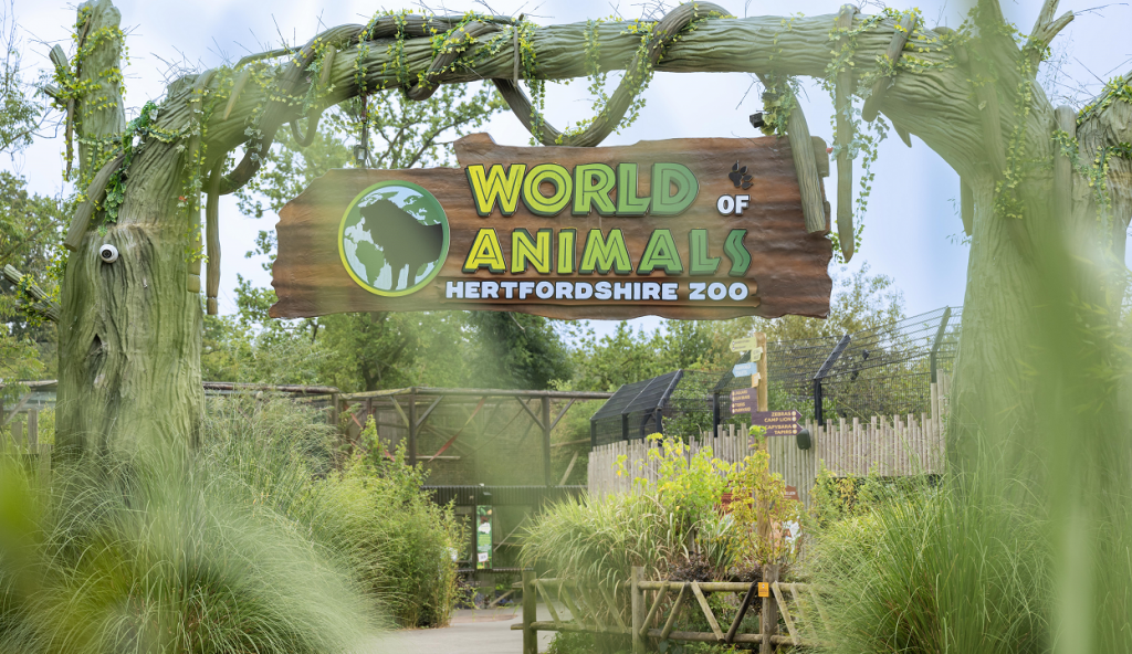hertfordshire-zoo-plan-your-perfect-day-out