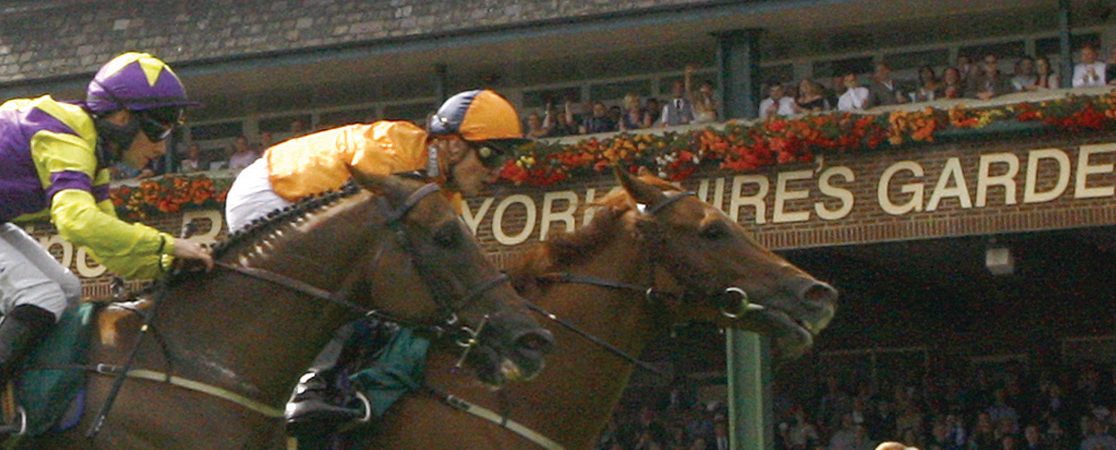Ripon Races | Plan your perfect day out