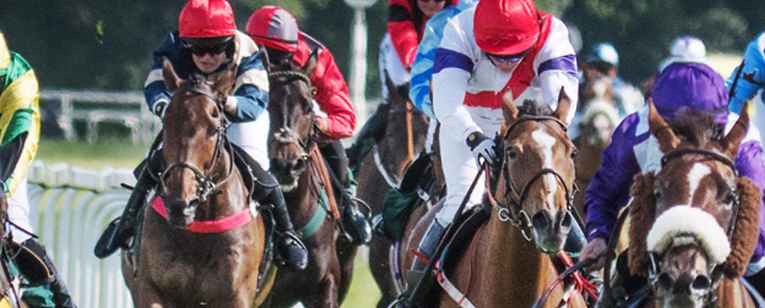Ripon Races | Plan your perfect day out