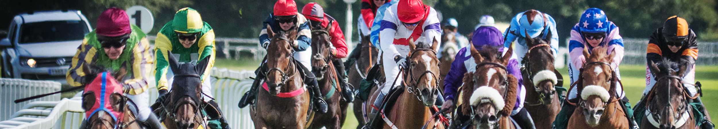 Ripon Races | Plan your perfect day out