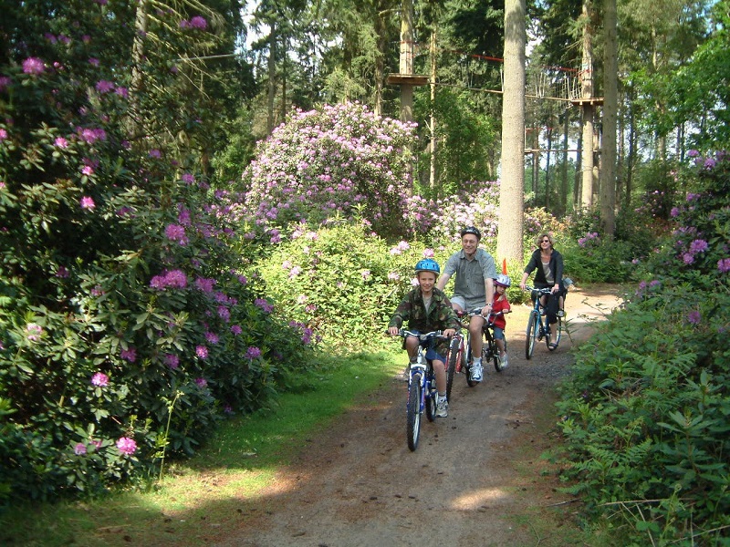 Bike Art | Plan your perfect day out